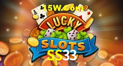 SS33 - Support
