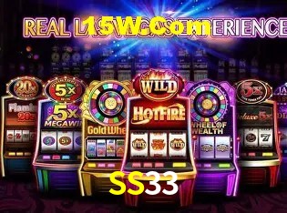 Login Seguro SS33