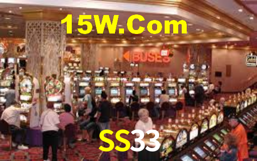 SS33